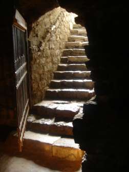 DSC07132.JPG